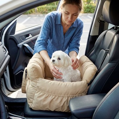 Siege auto pour chien