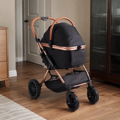 Poussette pour Chien
