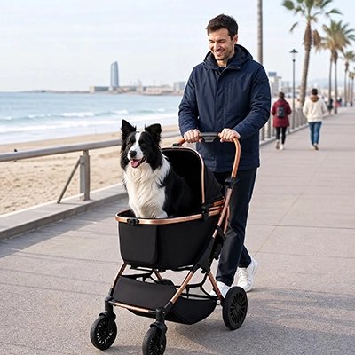 Poussette pour Chien