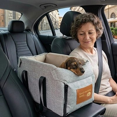 Siege auto pour chien