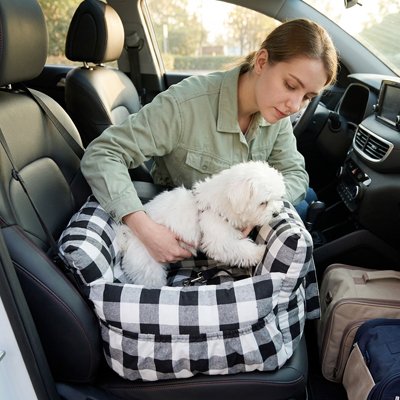Siege auto pour chien