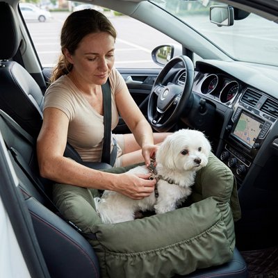 Siege auto pour chien