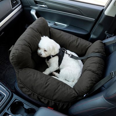 Siege auto pour chien