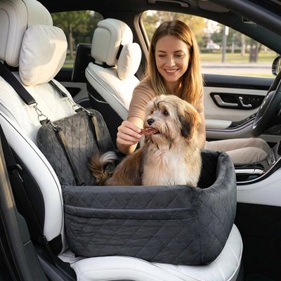 Siege auto pour chien