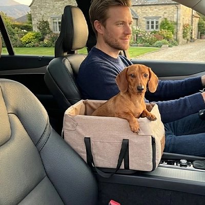 Siege auto pour chien