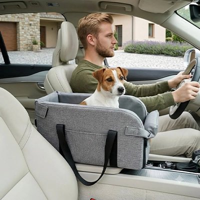 Siege auto pour chien