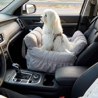 Siege auto pour chien