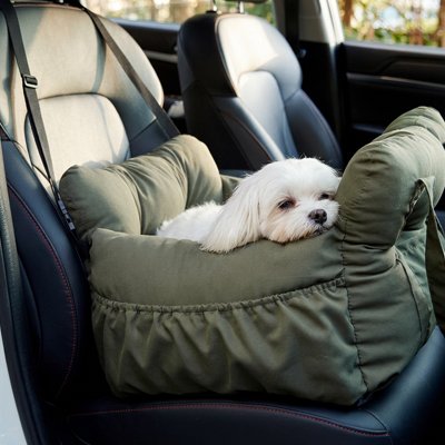 Siege auto pour chien
