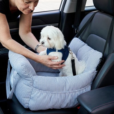 Siege auto pour chien