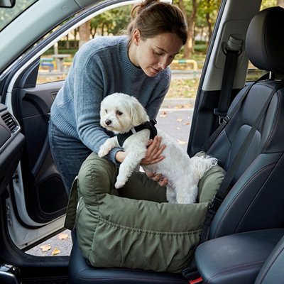 Siege auto pour chien