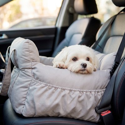 Siege auto pour chien
