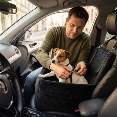 Siege auto pour chien