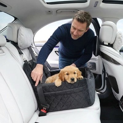 Siege auto pour chien