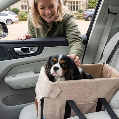 Siege auto pour chien